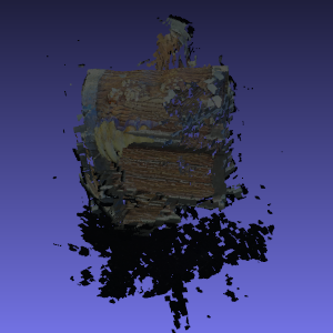 Mast3r Mimic