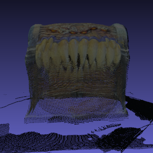 Spann3r Mimic Front
