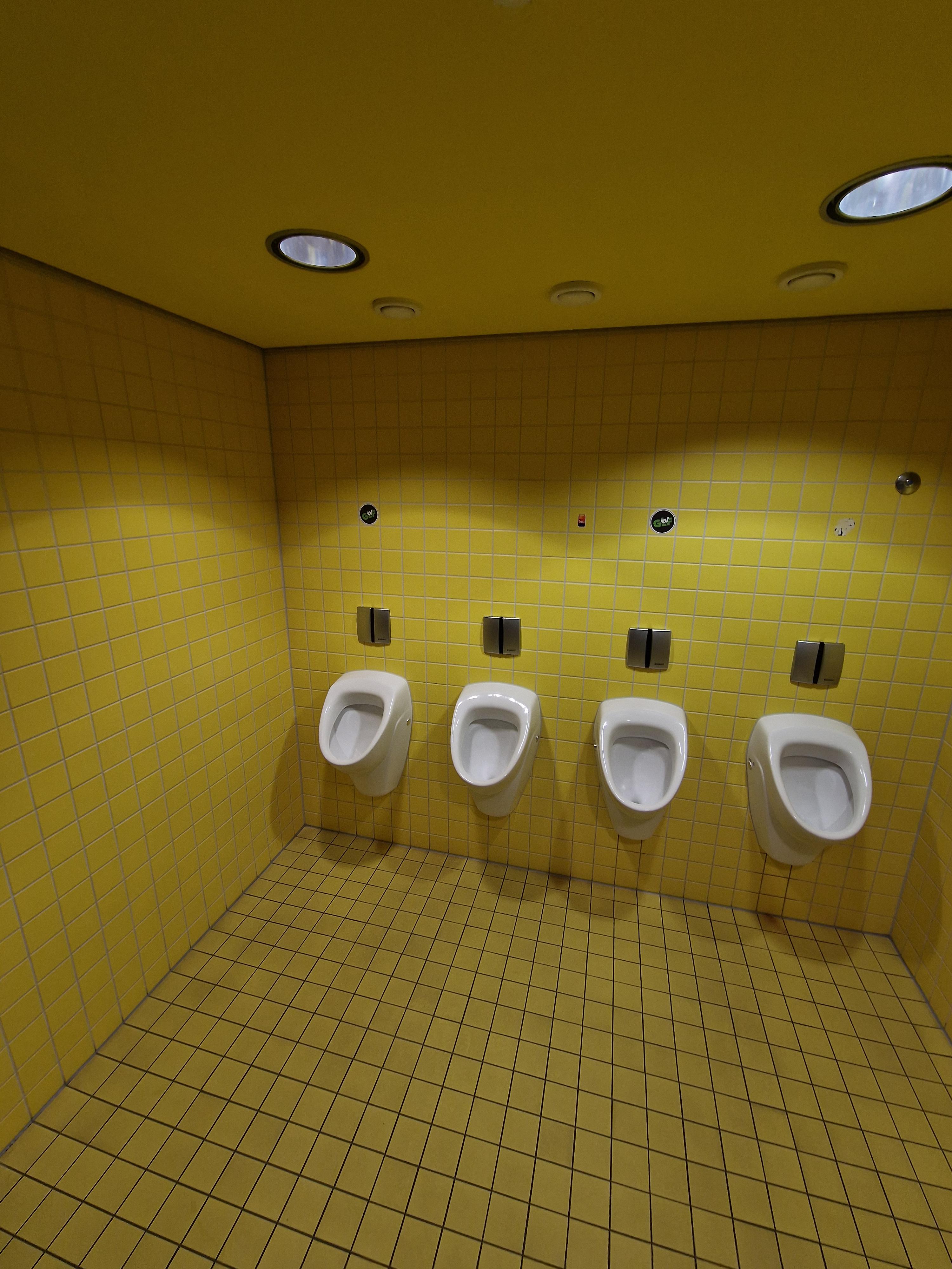 Image Sample